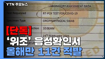[단독] 입국자 '위조 음성확인서' 올해만 11건 적발...방역망 '구멍' 우려 / YTN