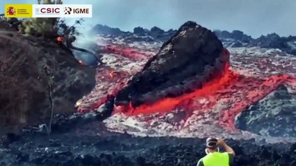 Λα Πάλμα: Επιχειρήσεις διάσωσης ζώων