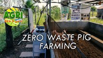 Zero Waste Pig Farming