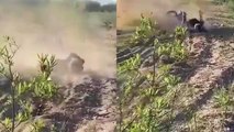 ''Round, round & down!' Nasty moto fail sees rider face planting into the dirt'