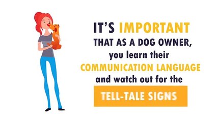 Dogs Language Explained_ How to Understand Your Dog Better