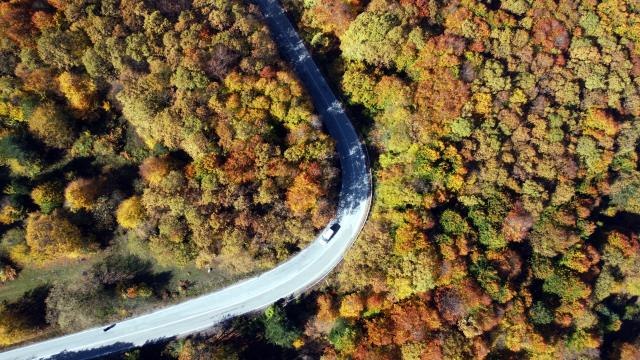 Gölcük Tabiat Parkı'nda sonbahar renkleri hakim