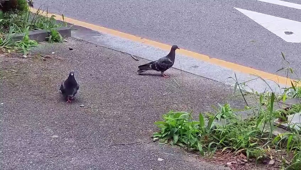 社会的に距離を置く