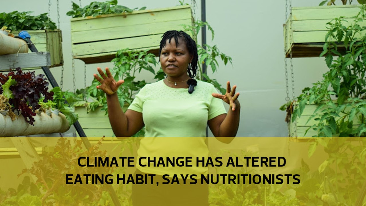 Climate change has altered eating habits, say nutritionists