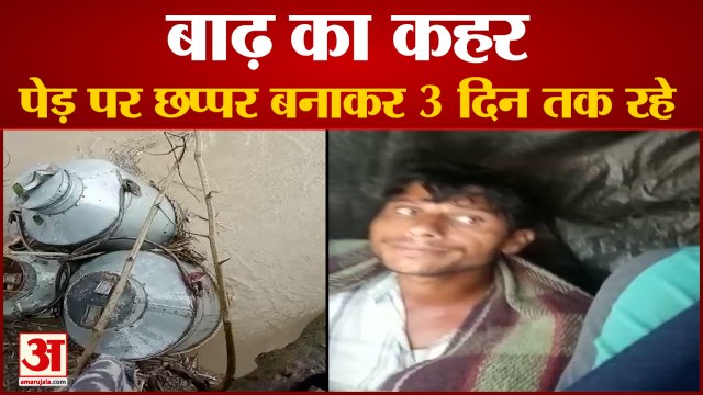 पीलीभीत बाढ़ से बेहाल : पेड़ पर 3 दिन गुजार बचाई जान । People Climbed Tree To Save Life in Pilibhit
