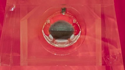 Çin'in Ay'dan topladığı örnekler yeni bir bazalt türü ortaya çıkardı