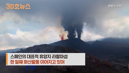 [30초뉴스] 스페인 화산폭발로 고립 유기견들…드론 띄워 구조 시도