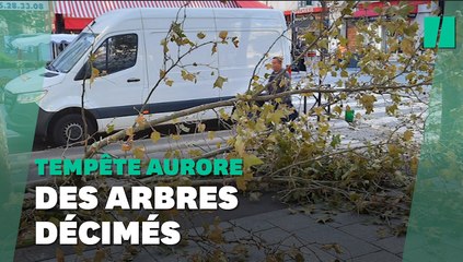 Descargar video: Arbres tombés, toitures arrachées... Les images des dégâts de la tempête Aurore