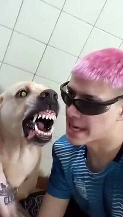 Un chien rappeur très énervé en duo avec son maître !