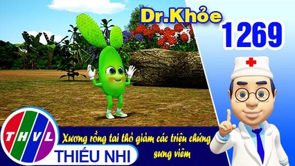 Dr. Khỏe - Tập 1269: Xương rồng tai thỏ giảm các triệu chứng sưng viêm