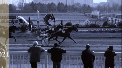 Pronostic pour la course du Quinté PMU du vendredi 22 octobre 2021