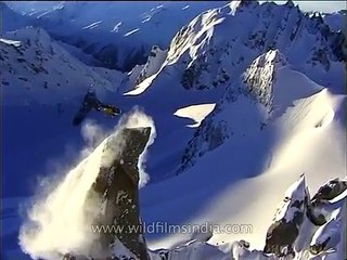 Aerial chopper dispersing snow