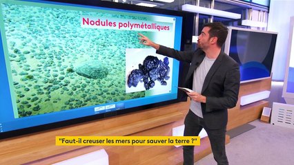 Les océans, nouvelle source potentielle de richesses à exploiter