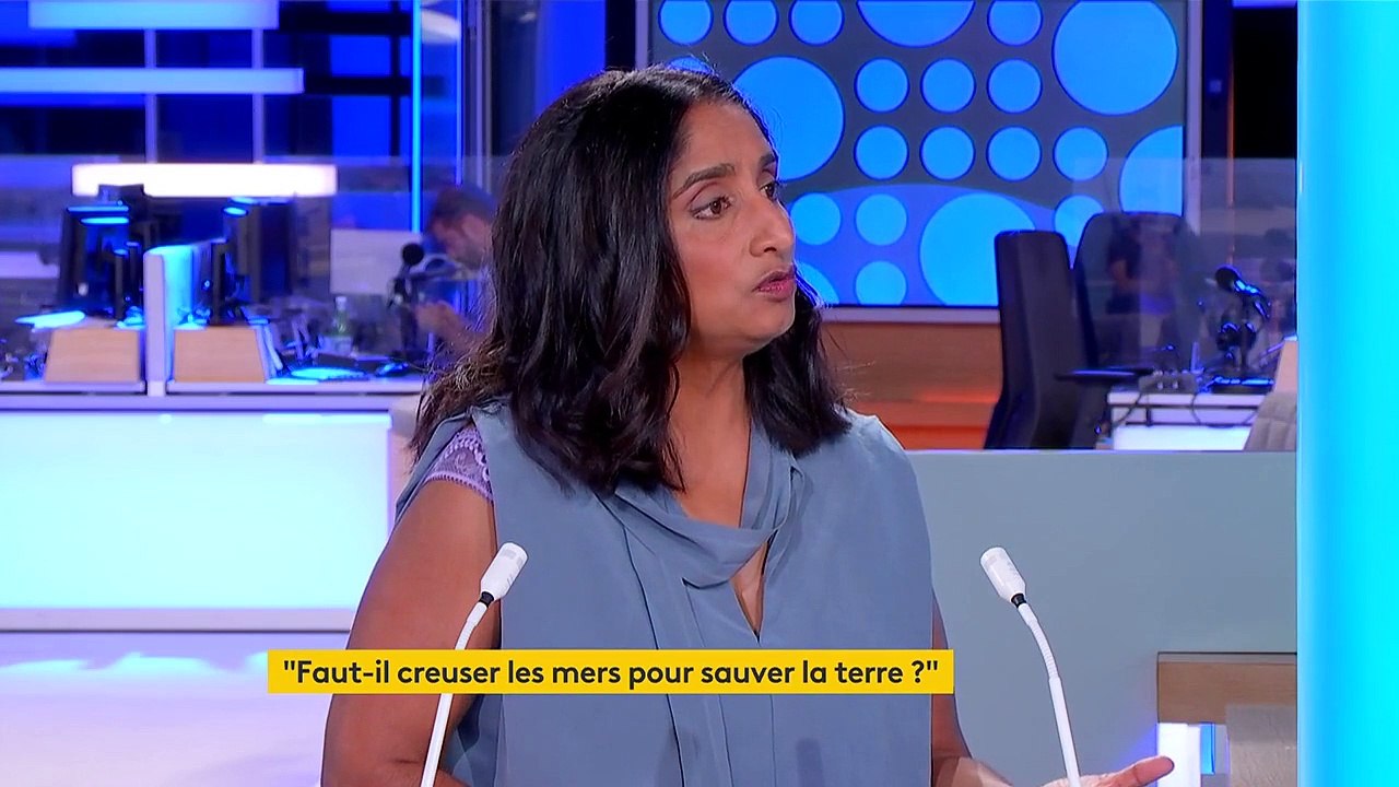 Les océans, lieu de bataille pour les métaux rares, "le pétrole du XXIe siècle"