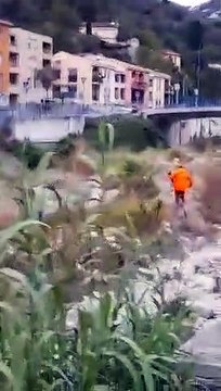 Des sangliers poursuivis par des chasseurs en pleine ville dans les Alpes-Maritimes