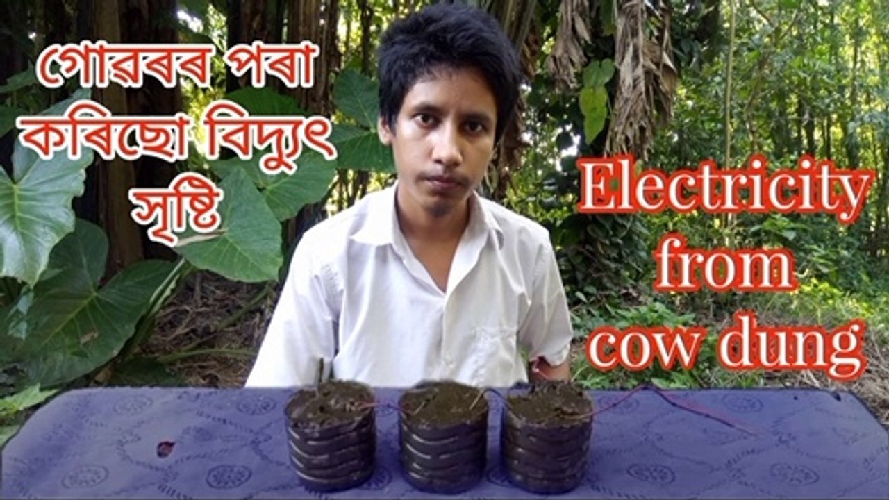 গোবৰ পৰা কৰিছো বিদ্যুৎ সৃষ্টি | how to make electricity from cow dung | cow dung electricity project | cow dung battery making | how to make cow dung battery| electricity generator from cow dung | cow dung electricity| assamese experiment video | how to