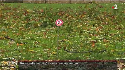 Normandie : une circulation entravée par la tempête Aurore