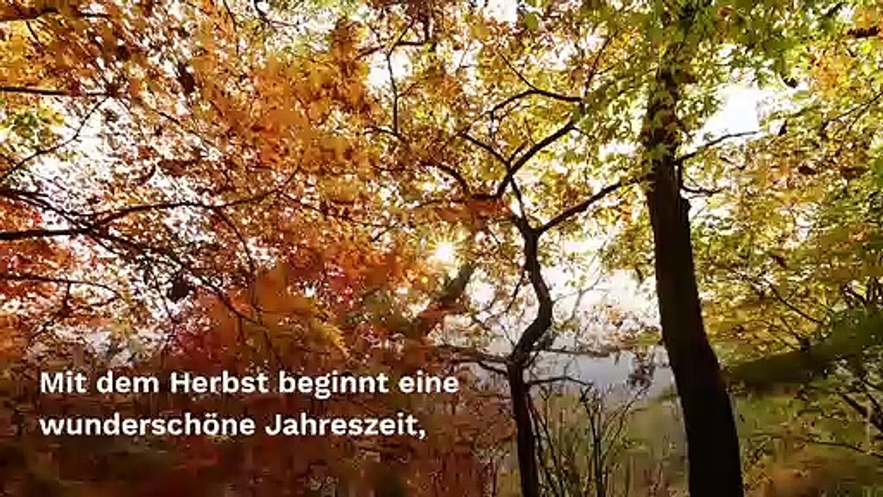 Wie im märchen: diese schlösser in der schweiz sind absolut traumhaft