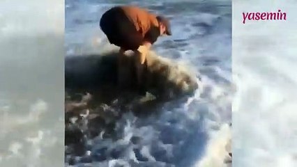 Kıyıya vuran yunusun kurtarılma anı
