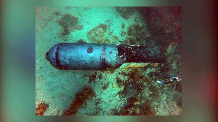 Martigues-Carro : le témoignage des plongeurs qui ont trouvé la bombe sous l'eau
