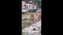 Dans les Alpes-Maritimes, des chasseurs tirent sur un sanglier en pleine ville