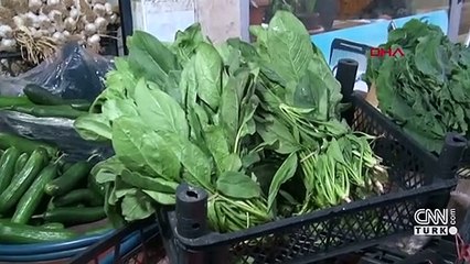 Ispanak değil güzelavrat otu zehirliyor