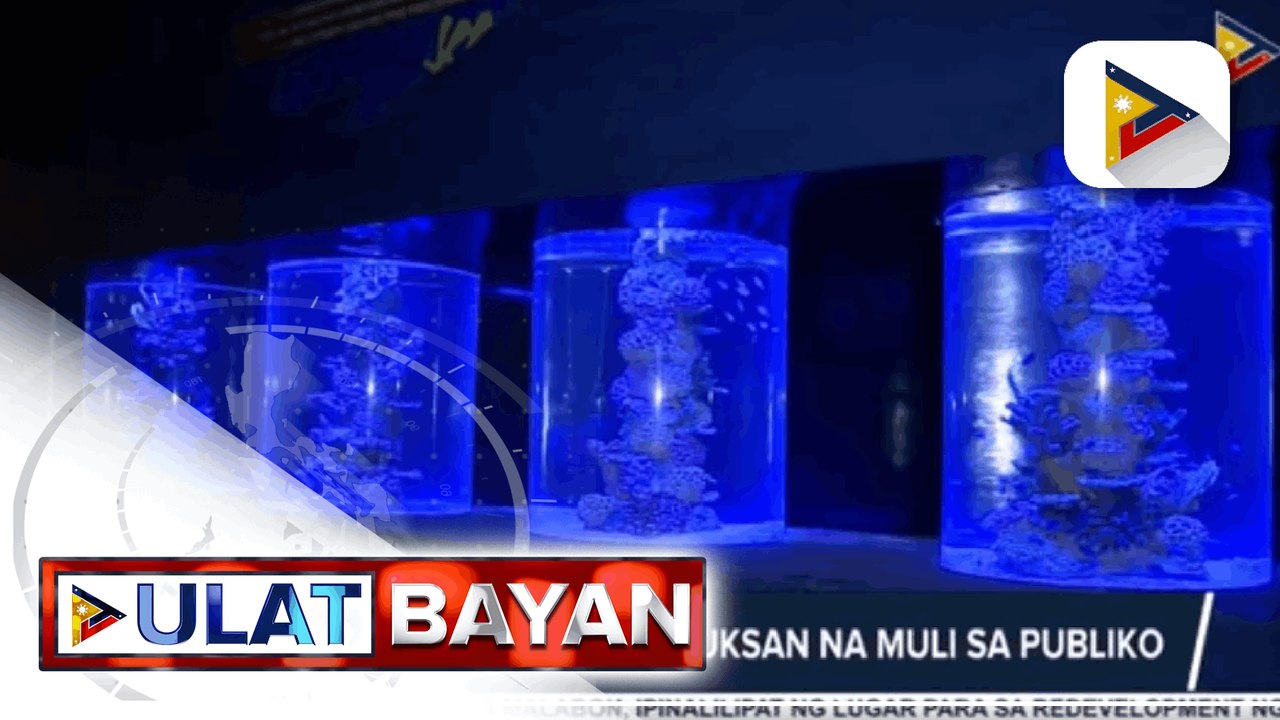 Manila Ocean Park, binuksan na muli sa publiko