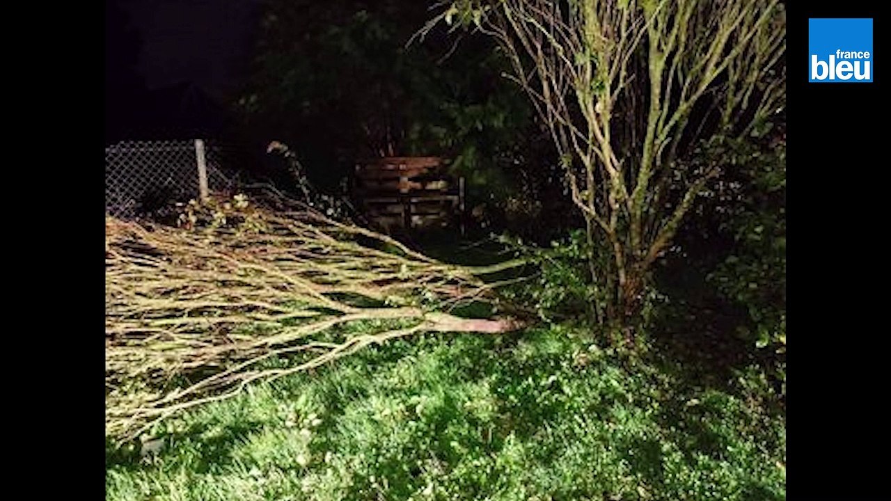 Tempête Aurore : les images des dégâts en Normandie