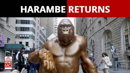 Harambe Returns: A Harambe Gorilla Statue Is Staring Down Wall Street’s Charging Bull