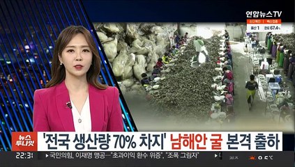 '전국 생산량 70% 차지' 남해안 굴 본격 출하