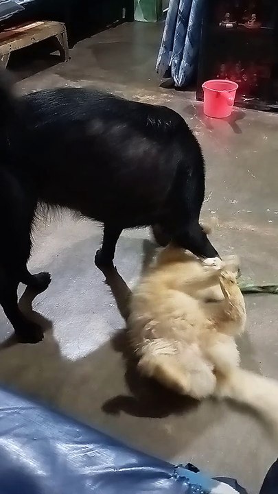 kulitan ni bella at euna