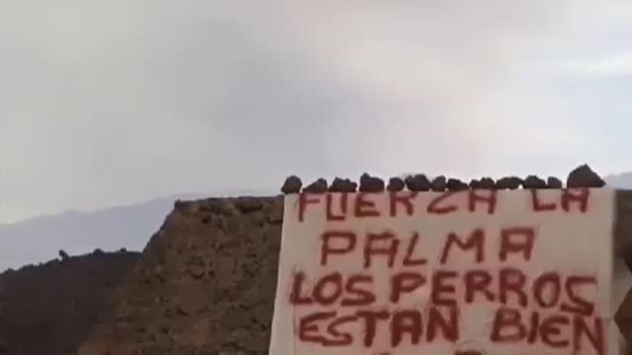 Una misteriosa pancarta en la zona donde estaban los perros demuestra que han sido rescatados por alguien