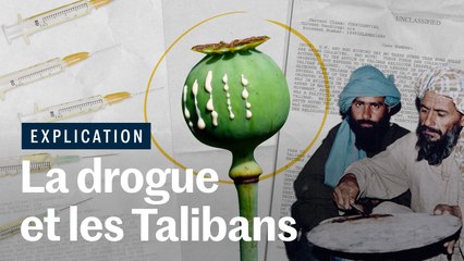 Afghanistan : comment la drogue a profité aux talibans ?