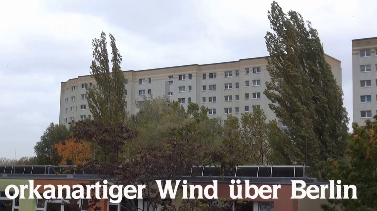 orkanartiger Wind zieht über Berlin