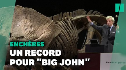 Le squelette de "Big John" vendu à 6,6 millions d'euros bat un record