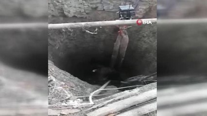 Son dakika haber... İzmir'de inek kurtarma operasyonu