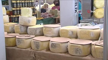 Başkent'te 3 şehrin tanıtım günü etkinliği düzenlendi