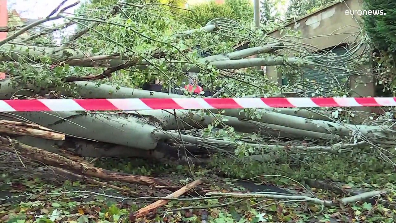 Strom- und Zugausfälle: Sturm 'Aurore' wütet in Nordfrankreich