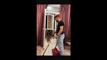 Ce chien sauve son maitre de l'aspirateur fou