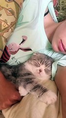 Cat Asks For Kiss Before Bed