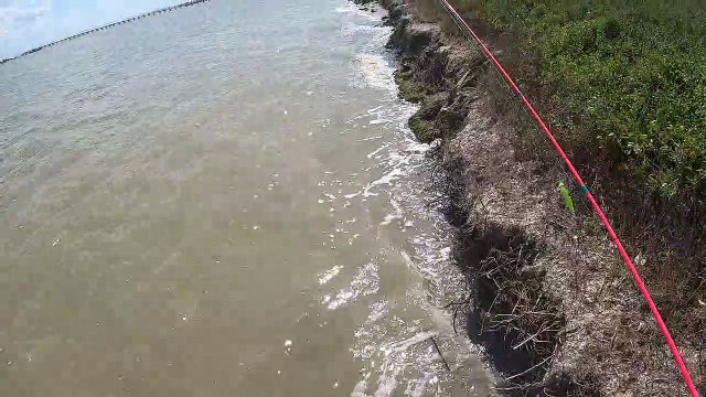 Snapping Pelicans Cut From Tangled Wire