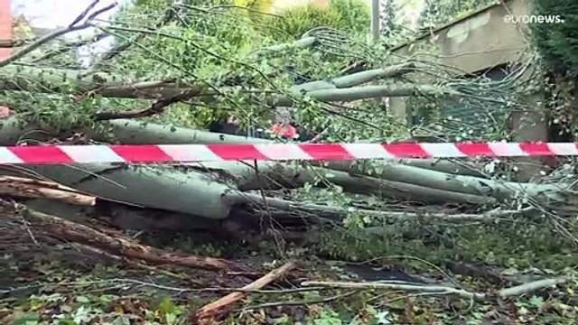 На севере Франции подсчитывают ущерб, нанесенный ураганом