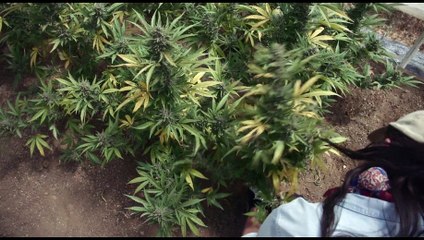 Freeland - Official Trailer