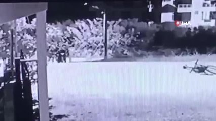 Mahallenin köpeği hırsızları dostça karşıladı