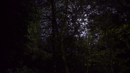 Longa noite (Endless Night) – Trailer