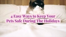 4 Easy Ways to Keep Your Pets Safe During The Holidays