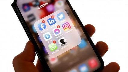 How Social Media CEOs Feel About Content Regulation