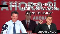 Alfonso Rojo: 