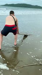 Saving a Baby Manta Ray from Receding Tide