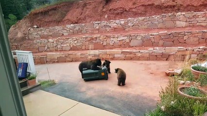Bear-Proof Bins Thwart Bears